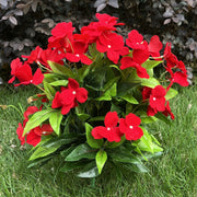 24 Stems Large Artificial Impatiens Bush UV Resistant Outdoor Silk Flowers