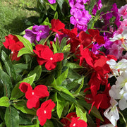 24 Stems Large Artificial Impatiens Bush UV Resistant Outdoor Silk Flowers