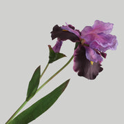29 Inch Artificial Silk Iris Stem 10 Pcs Bulk Wholesale