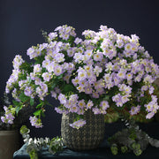 24 Inch Artificial Silk Jasmine Stems 10 Pcs Bulk Wholesale Flowers