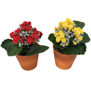 6.6 Inch Artificial Kalanchoe Stem Plants Bulk Wholesale - 6 Stems Silk