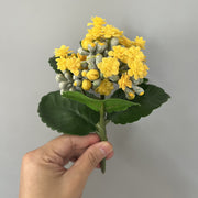 6.6 Inch Artificial Kalanchoe Stem Plants Bulk Wholesale - 6 Stems Silk