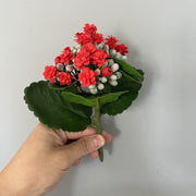6.6 Inch Artificial Kalanchoe Stem Plants Bulk Wholesale - 6 Stems Silk