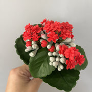 6.6 Inch Artificial Kalanchoe Stem Plants Bulk Wholesale - 6 Stems Silk