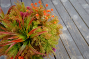 Fall Faux Flowers and Plants Bulk Pack, Outdoor UV Resistant Artificial Bushes