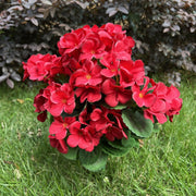 16 Inch Artificial Geranium Bush 24 Stems UV Resistant Silk Flowers Bulk Pack