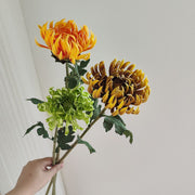 23.6 Inch Artificial Chrysanthemum Stems, Large Heads, Real Touch, Fall Winter Flowers, Bulk Pack