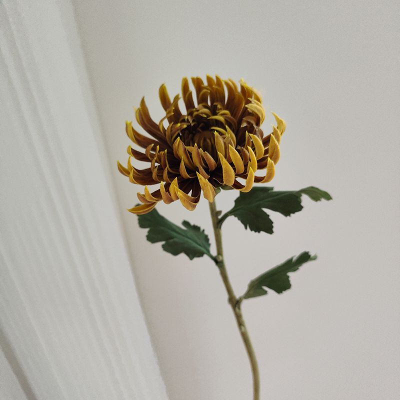 23.6 Inch Artificial Chrysanthemum Stems, Large Heads, Real Touch, Fall Winter Flowers, Bulk Pack