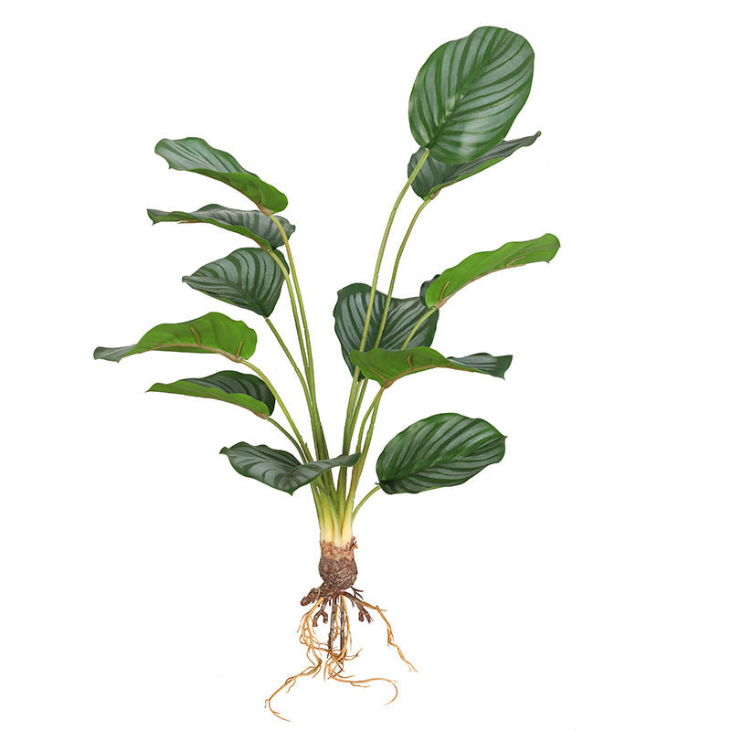 Artificial Arrowroot Leaves Plants 6 Stems 12 Inch Green Silk Indoor Simulation Foliage