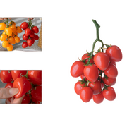 Artificial Cherry Tomato Clusters, Real Touch, Lifelike, Bulk Quantity, Decorative Fruit