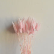 50 Pcs Natural Bunny Tails Dried Flowers, Soft Beige, 4-6 Inch Stems for Wedding, Baby Shower, Boho, Fall Decor