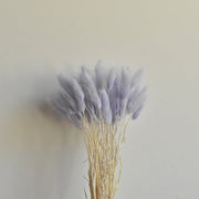 50 Pcs Natural Bunny Tails Dried Flowers, Soft Beige, 4-6 Inch Stems for Wedding, Baby Shower, Boho, Fall Decor