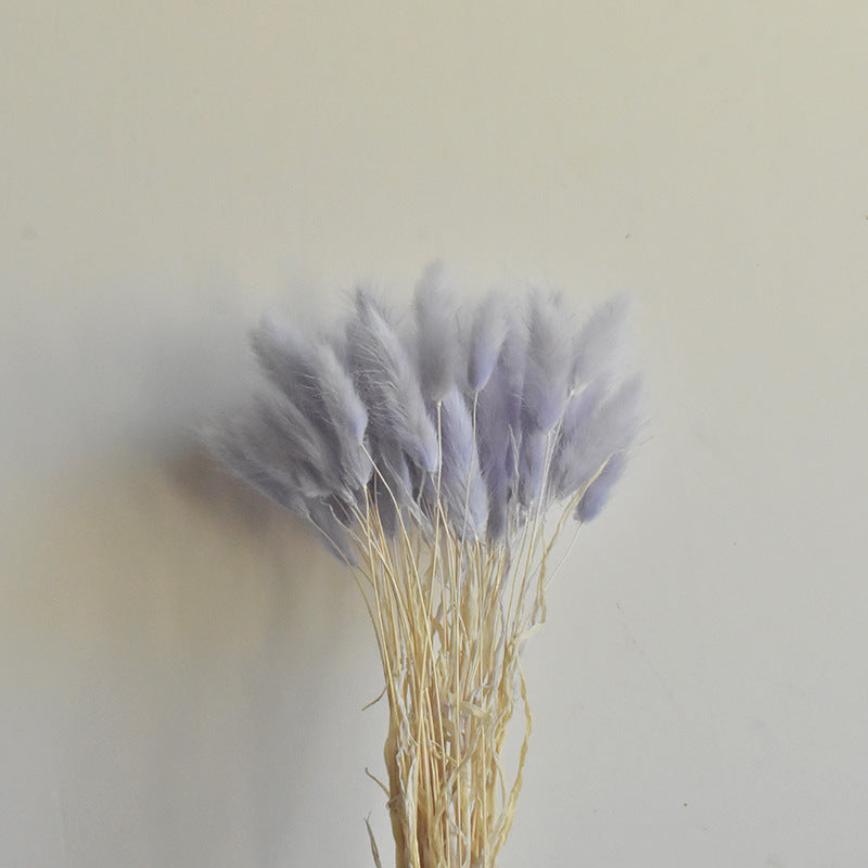50 Pcs Natural Bunny Tails Dried Flowers, Soft Beige, 4-6 Inch Stems for Wedding, Baby Shower, Boho, Fall Decor