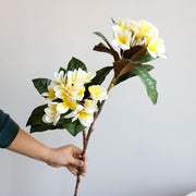 10 Pcs Artificial Frangipani Stems 12 Inch Tropical Luau Beach Party Silk Flowers