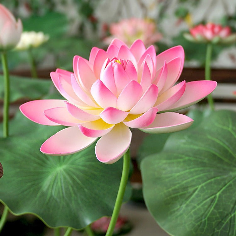 38.5 Inch Extra Large Lotus Stems with Leaves, 10 Pcs Artificial Flower Stems for Pool Landscaping