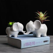 10 Pcs Artificial Elephant Succulent Planter Pots Bulk Set