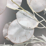 35 Inch Lunaria Stems Branches 10 Pcs White Burnt Orange Artificial Leaves Plants
