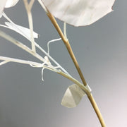 35 Inch Lunaria Stems Branches 10 Pcs White Burnt Orange Artificial Leaves Plants