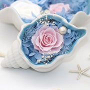 6 Pcs Preserved Floral Conch Set with Necklace and Earrings Valentine’s Gift for Her