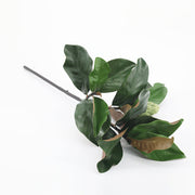 26 Inch Magnolia Leaf Stem with Bud, 10 Pcs Real Touch Artificial Leaves for Floral Arrangements
