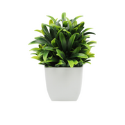 Mini Artificial Potted Eucalyptus Plants, 6 Pcs, Small Indoor Faux Greenery for Home Office Farmhouse Bathroom Decor