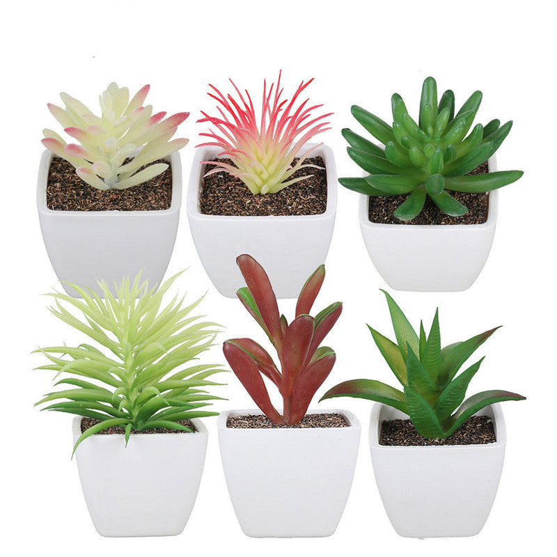 6 Pcs Mini Artificial Succulent Plants, Assorted Faux Plastic Succulents for Home Office Table Decoration