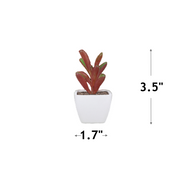 6 Pcs Mini Artificial Succulent Plants, Assorted Faux Plastic Succulents for Home Office Table Decoration