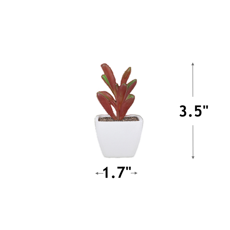 6 Pcs Mini Artificial Succulent Plants, Assorted Faux Plastic Succulents for Home Office Table Decoration