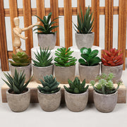Mini Artificial Succulents 12 Pcs Bulk Greenery in Small Pots for Home Decor