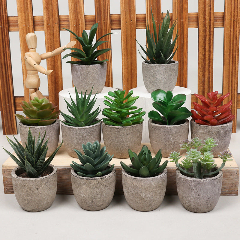 Mini Artificial Succulents 12 Pcs Bulk Greenery in Small Pots for Home Decor