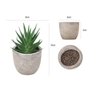 Mini Artificial Succulents 12 Pcs Bulk Greenery in Small Pots for Home Decor