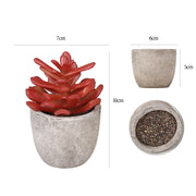 Mini Artificial Succulents 12 Pcs Bulk Greenery in Small Pots for Home Decor