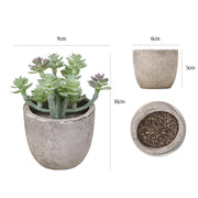 Mini Artificial Succulents 12 Pcs Bulk Greenery in Small Pots for Home Decor