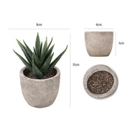Mini Artificial Succulents 12 Pcs Bulk Greenery in Small Pots for Home Decor