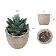 Mini Artificial Succulents 12 Pcs Bulk Greenery in Small Pots for Home Decor