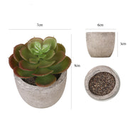 Mini Artificial Succulents 12 Pcs Bulk Greenery in Small Pots for Home Decor