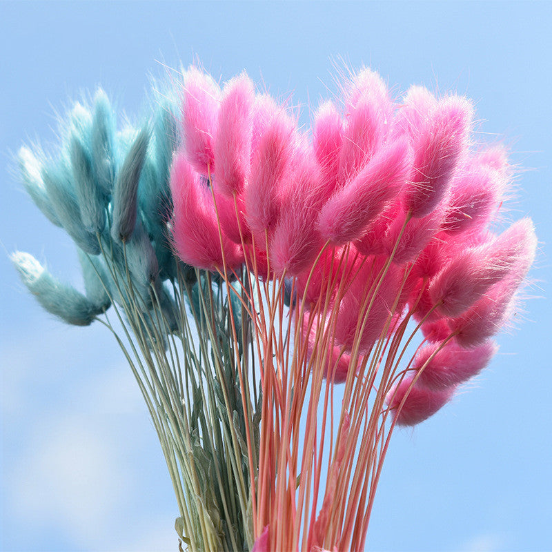 50 Pcs Natural Bunny Tails Dried Flowers, Soft Beige, 4-6 Inch Stems for Wedding, Baby Shower, Boho, Fall Decor