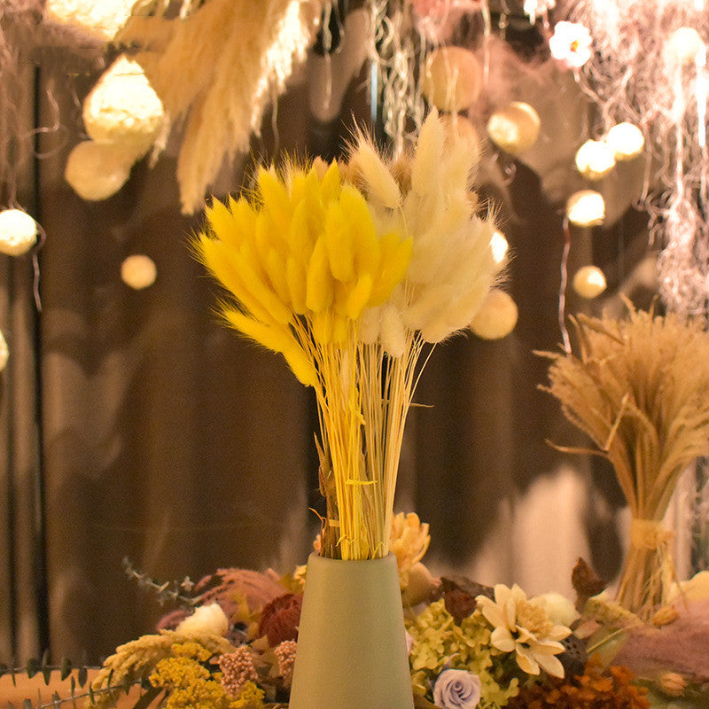 50 Pcs Natural Bunny Tails Dried Flowers, Soft Beige, 4-6 Inch Stems for Wedding, Baby Shower, Boho, Fall Decor