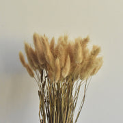 50 Pcs Natural Bunny Tails Dried Flowers, Soft Beige, 4-6 Inch Stems for Wedding, Baby Shower, Boho, Fall Decor
