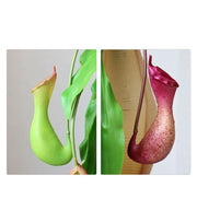 2 Pcs Artificial Nepenthes Pitcher Plant Stems, Real Touch Tropical Green, 12 Inch Silk