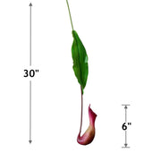 2 Pcs Artificial Nepenthes Pitcher Plant Stems, Real Touch Tropical Green, 12 Inch Silk