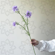 27.5 Inch Artificial Nigella Love in the Mist Flower Stems, 10 Pcs Silk Bulk