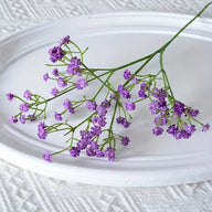 Bulk 10 Pcs Artificial Baby Breath Gypsophila Premium Stems with Blooms UV Guard for Wedding Arch Florals Non-Fading Wholesale