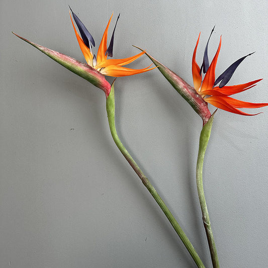 Wedding Decor Large Real Touch Artificial Bird of Paradise - Premium Photo Prop & Home Accent