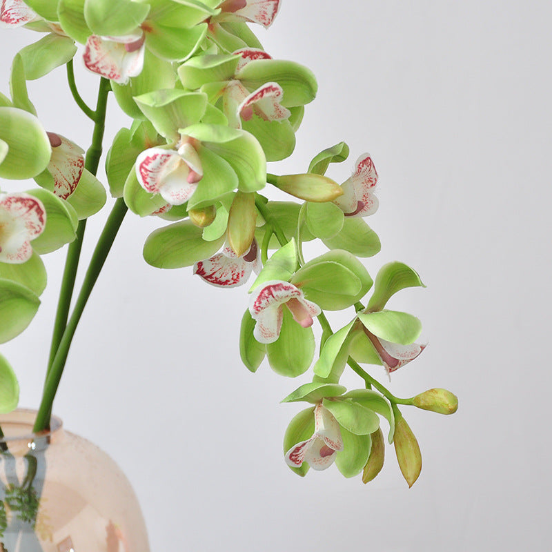 Single Stem Artificial Phalaenopsis Orchid, 69cm Long, 8 Blooms, PE/PVC Material, Modern Green Décor for Home, Office, or Events