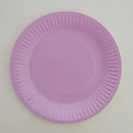 Bulk 9 Inch Disposable Eco-Friendly Paper Plates Wholesale