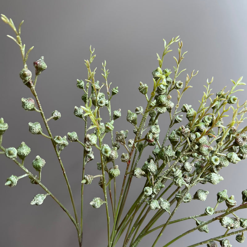 Set of 5 Artificial Eucalyptus Fruit Branches, 3-Fork White Green Stems, Tall Faux Greenery for Wedding, Home & Window Display