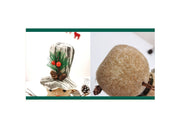 10 Pcs Christmas Snowman Dolls with Sleigh, Scarf, Hat - Felt Ornaments Set