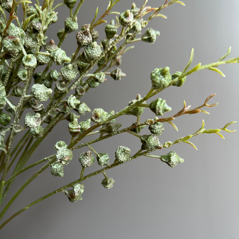 Set of 5 Artificial Eucalyptus Fruit Branches, 3-Fork White Green Stems, Tall Faux Greenery for Wedding, Home & Window Display