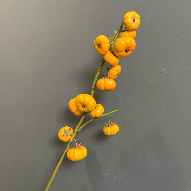 Single Stem Artificial Pumpkin Decoration, 25" Long with 13 Blooms, Foam Material, Perfect for Home, Holiday, and Commercial Decor